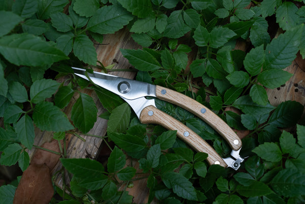 Rooty Large Garden Pruning Shear